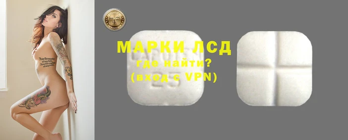 дмт Медвежьегорск