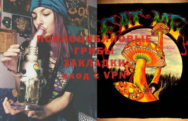 дмт Медвежьегорск