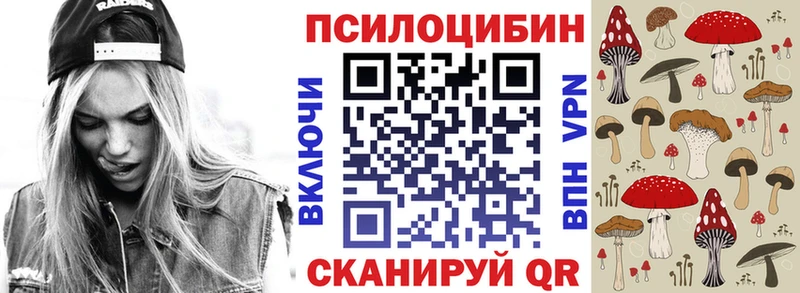 Галлюциногенные грибы GOLDEN TEACHER  Цоци-Юрт 